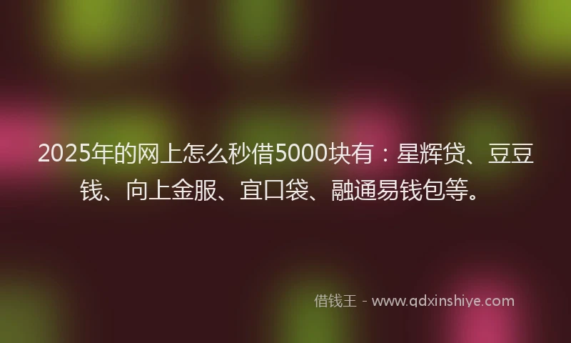 2025年的网上怎么秒借5000块有：星辉贷、豆豆钱、向上金服、宜口袋、融通易钱包等。