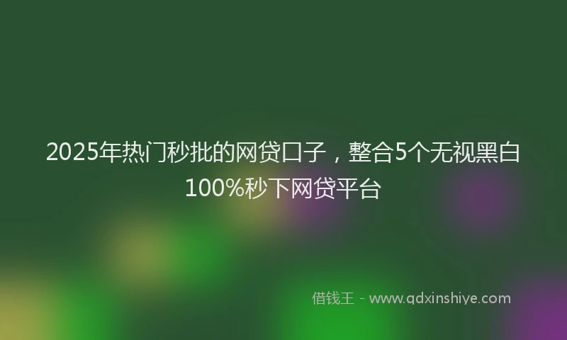 2025年热门秒批的网贷口子,整合5个无视黑白100%秒下网贷平台