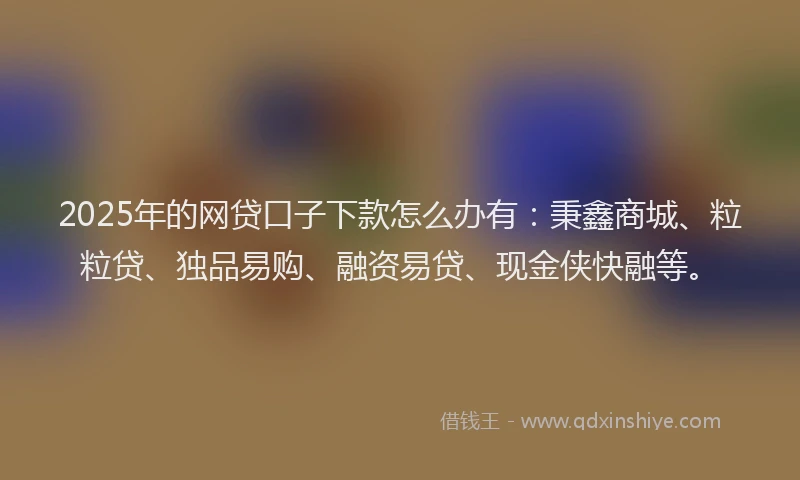 2025年的网贷口子下款怎么办有：秉鑫商城、粒粒贷、独品易购、融资易贷、现金侠快融等。