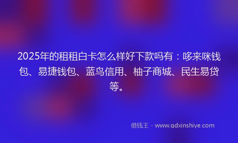 2025年的租租白卡怎么样好下款吗有:哆来咪钱包、易捷钱包、蓝鸟信用、柚子商城、民生易贷等。