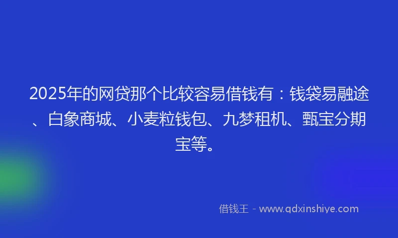2025年的网贷那个比较容易借钱有：钱袋易融途、白象商城、小麦粒钱包、九梦租机、甄宝分期宝等。