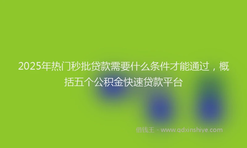 2025年热门秒批贷款需要什么条件才能通过，概括五个公积金快速贷款平台