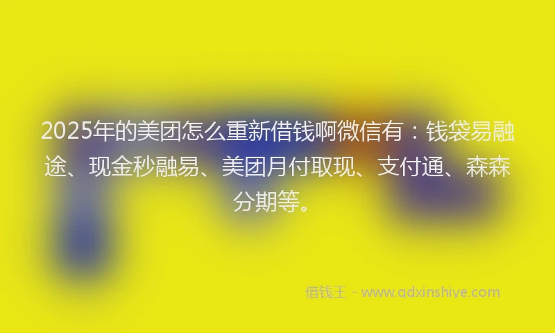 2025年的美团怎么重新借钱啊微信有：钱袋易融途、现金秒融易、美团月付取现、支付通、森森分期等。