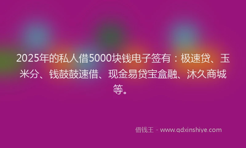 2025年的私人借5000块钱电子签有：极速贷、玉米分、钱鼓鼓速借、现金易贷宝盒融、沐久商城等。