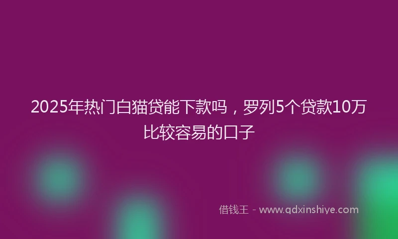 2025年热门白猫贷能下款吗，罗列5个贷款10万比较容易的口子
