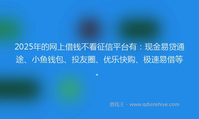 2025年的网上借钱不看征信平台有：现金易贷通途、小鱼钱包、投友圈、优乐快购、极速易借等。