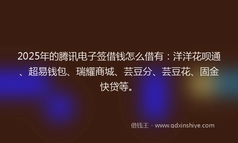 2025年的腾讯电子签借钱怎么借有：洋洋花呗通、超易钱包、瑞耀商城、芸豆分、芸豆花、固金快贷等。