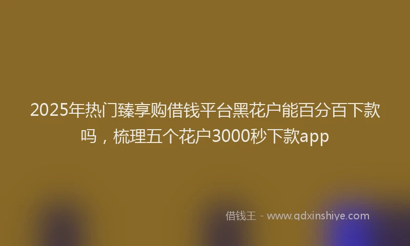 2025年热门臻享购借钱平台黑花户能百分百下款吗，梳理五个花户3000秒下款app