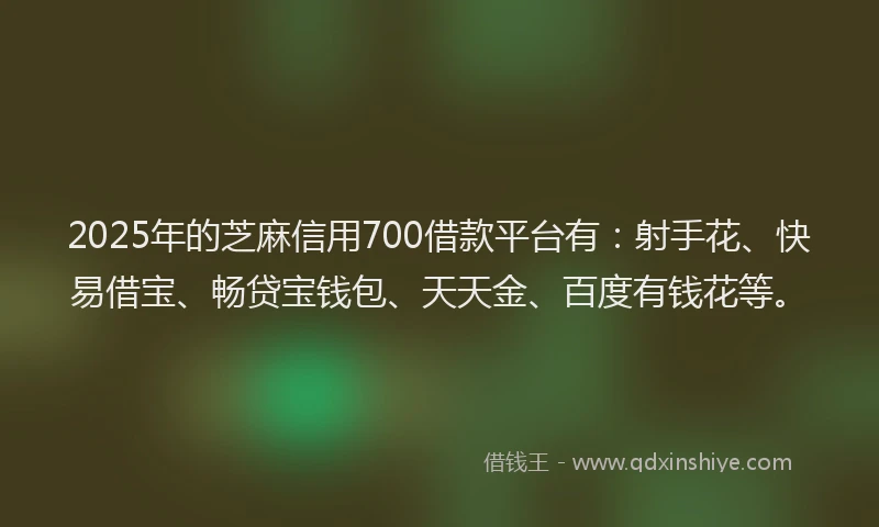 2025年的芝麻信用700借款平台有:射手花、快易借宝、畅贷宝钱包、天天金、百度有钱花等。