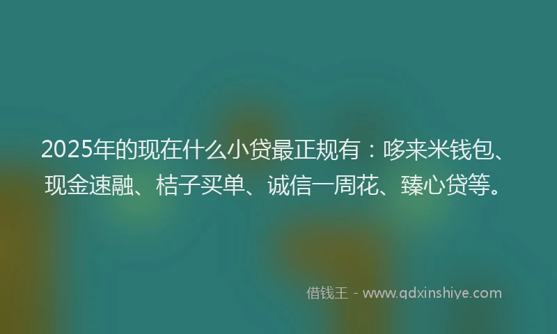 2025年的现在什么小贷最正规有:哆来米钱包、现金速融、桔子买单、诚信一周花、臻心贷等。