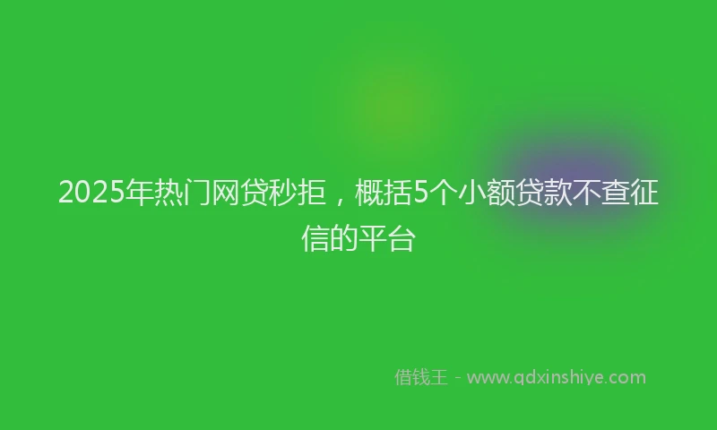 2025年热门网贷秒拒，概括5个小额贷款不查征信的平台