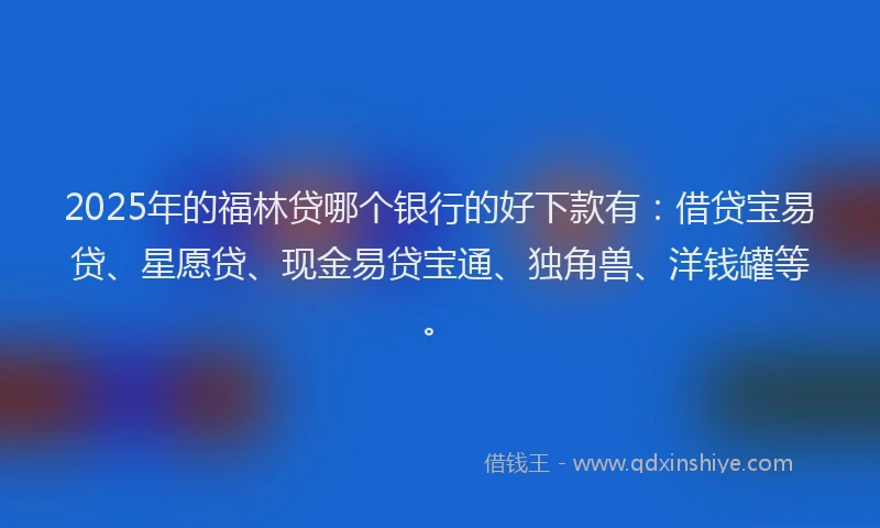 2025年的福林贷哪个银行的好下款有：借贷宝易贷、星愿贷、现金易贷宝通、独角兽、洋钱罐等。