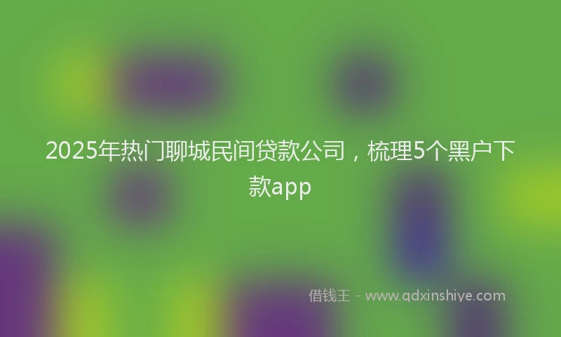 2025年热门聊城民间贷款公司，梳理5个黑户下款app