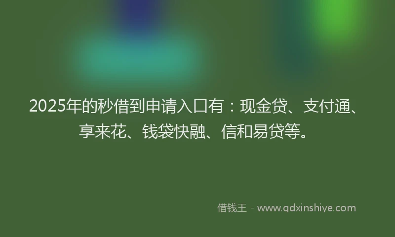 2025年的秒借到申请入口有：现金贷、支付通、享来花、钱袋快融、信和易贷等。