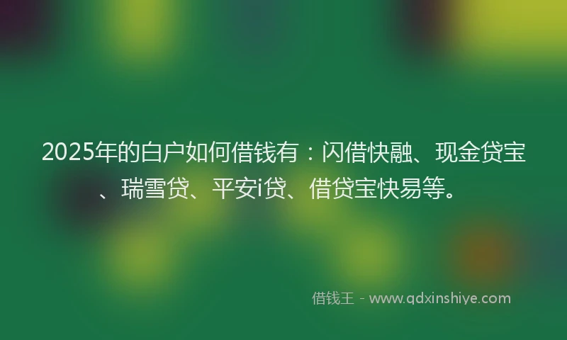 2025年的白户如何借钱有：闪借快融、现金贷宝、瑞雪贷、平安i贷、借贷宝快易等。