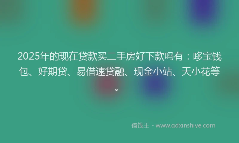 2025年的现在贷款买二手房好下款吗有：哆宝钱包、好期贷、易借速贷融、现金小站、天小花等。