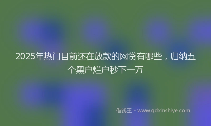 2025年热门目前还在放款的网贷有哪些，归纳五个黑户烂户秒下一万