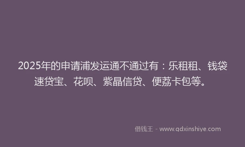 2025年的申请浦发运通不通过有：乐租租、钱袋速贷宝、花呗、紫晶信贷、便荔卡包等。