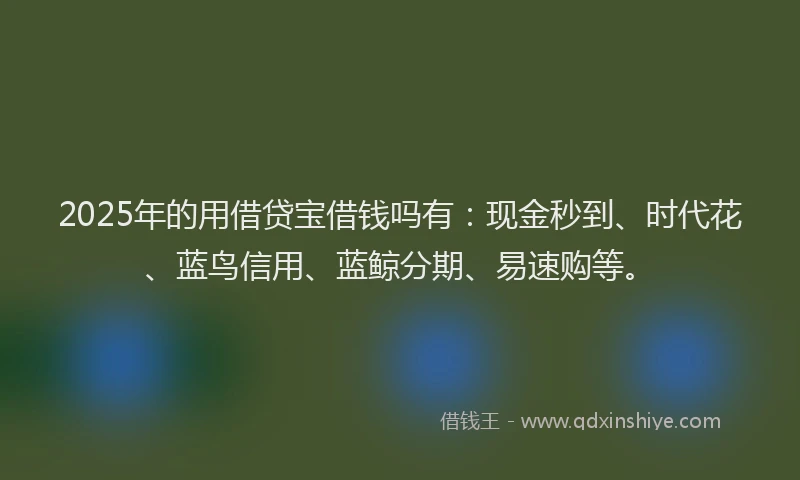 2025年的用借贷宝借钱吗有：现金秒到、时代花、蓝鸟信用、蓝鲸分期、易速购等。