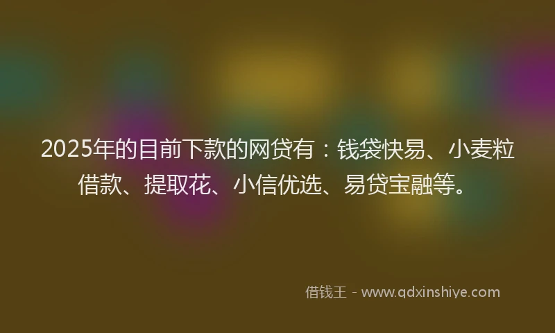 2025年的目前下款的网贷有：钱袋快易、小麦粒借款、提取花、小信优选、易贷宝融等。