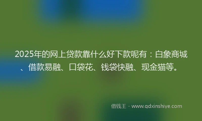 2025年的网上贷款靠什么好下款呢有:白象商城、借款易融、口袋花、钱袋快融、现金猫等。