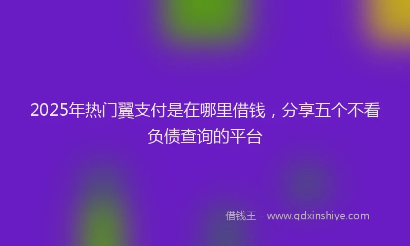 2025年热门翼支付是在哪里借钱，分享五个不看负债查询的平台