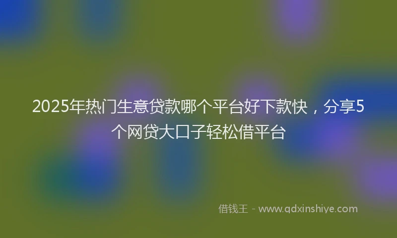 2025年热门生意贷款哪个平台好下款快，分享5个网贷大口子轻松借平台