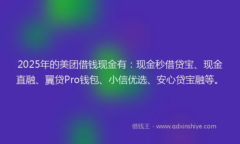 2025年的美团借钱现金有：现金秒借贷宝、现金直融、翼贷Pro钱包、小信优选、安心贷宝融等。