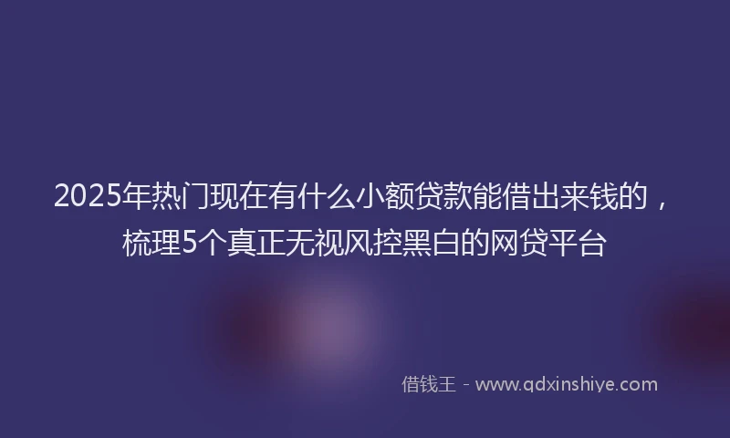 2025年热门现在有什么小额贷款能借出来钱的，梳理5个真正无视风控黑白的网贷平台