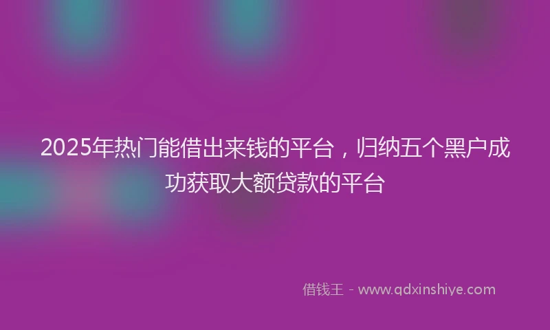 2025年热门能借出来钱的平台，归纳五个黑户成功获取大额贷款的平台