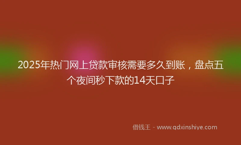 2025年热门网上贷款审核需要多久到账,盘点五个夜间秒下款的14天口子