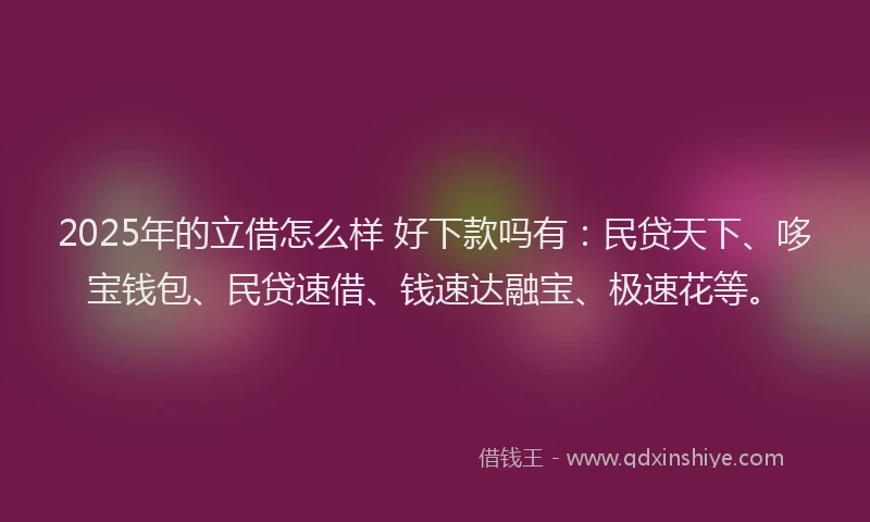 2025年的立借怎么样 好下款吗有:民贷天下、哆宝钱包、民贷速借、钱速达融宝、极速花等。
