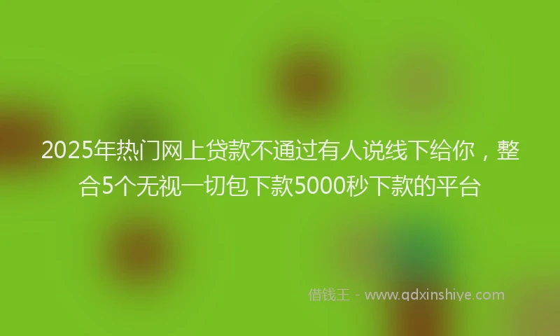 2025年热门网上贷款不通过有人说线下给你,整合5个无视一切包下款5000秒下款的平台