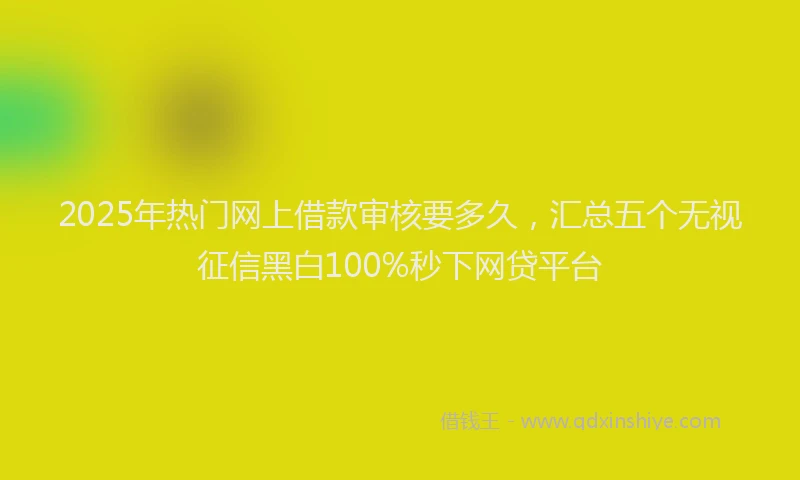 2025年热门网上借款审核要多久，汇总五个无视征信黑白100%秒下网贷平台