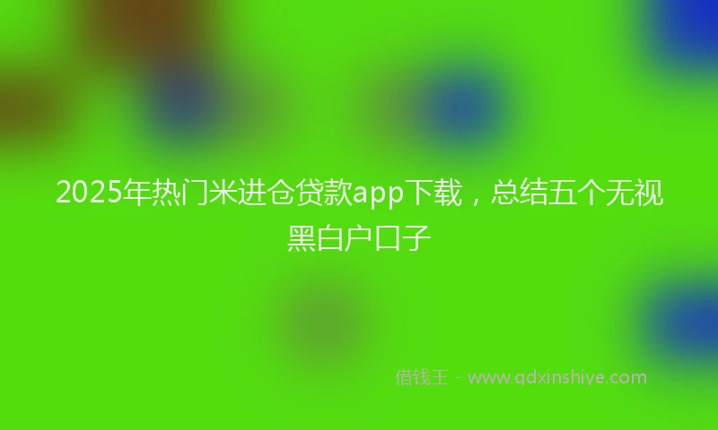 2025年热门米进仓贷款app下载，总结五个无视黑白户口子