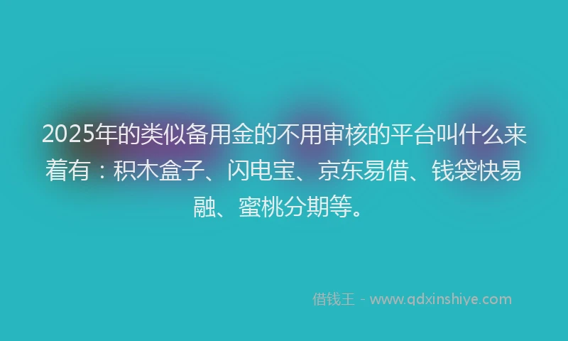 2025年的类似备用金的不用审核的平台叫什么来着有：积木盒子、闪电宝、京东易借、钱袋快易融、蜜桃分期等。