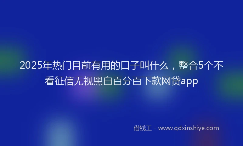 2025年热门目前有用的口子叫什么，整合5个不看征信无视黑白百分百下款网贷app