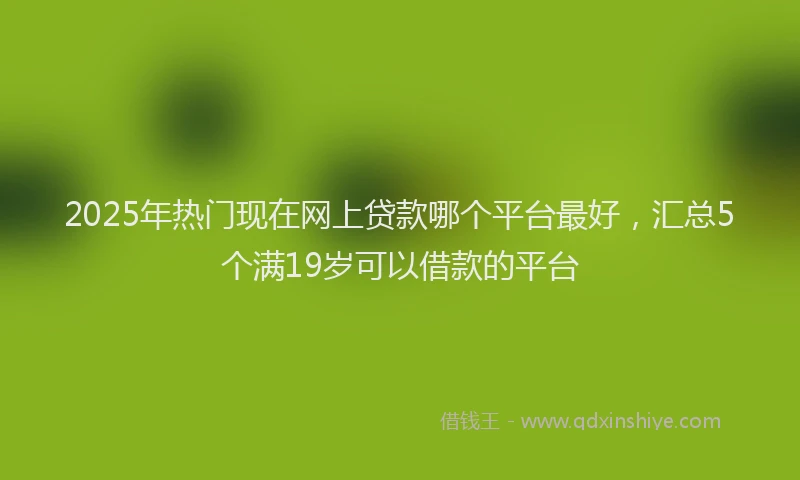 2025年热门现在网上贷款哪个平台最好，汇总5个满19岁可以借款的平台