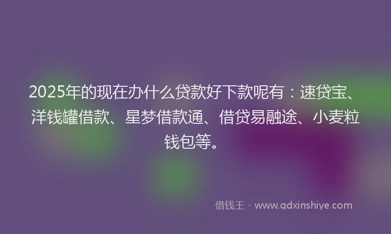 2025年的现在办什么贷款好下款呢有:速贷宝、洋钱罐借款、星梦借款通、借贷易融途、小麦粒钱包等。