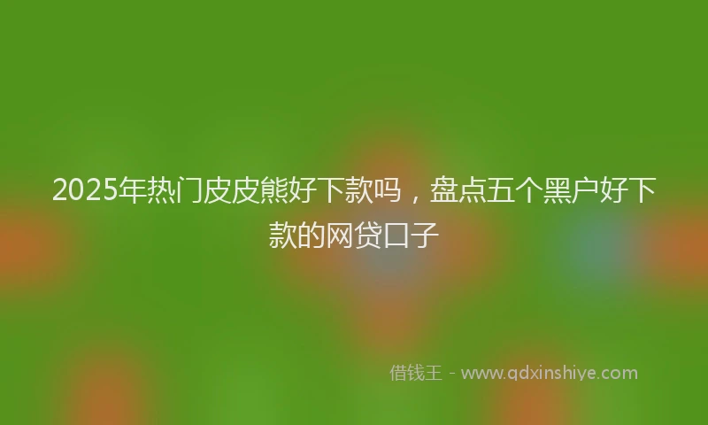 2025年热门皮皮熊好下款吗，盘点五个黑户好下款的网贷口子