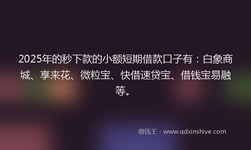 2025年的秒下款的小额短期借款口子有:白象商城、享来花、微粒宝、快借速贷宝、借钱宝易融等。