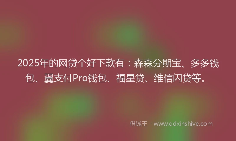 2025年的网贷个好下款有：森森分期宝、多多钱包、翼支付Pro钱包、福星贷、维信闪贷等。