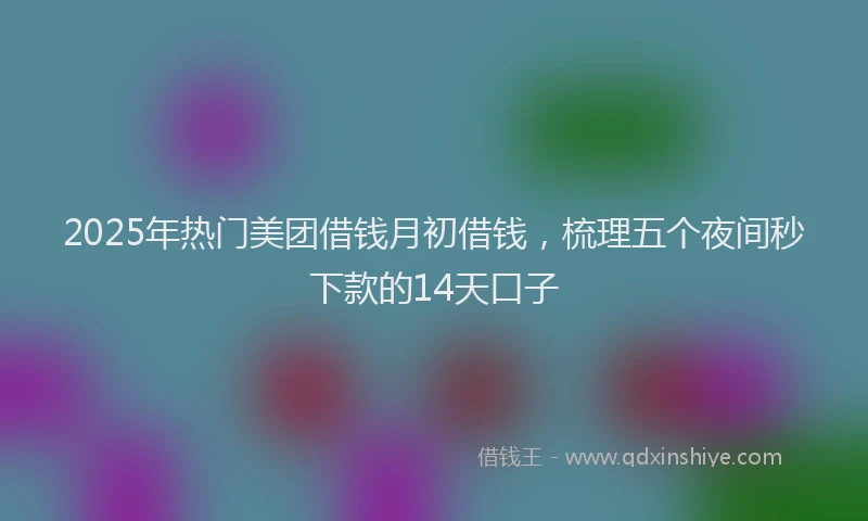 2025年热门美团借钱月初借钱，梳理五个夜间秒下款的14天口子