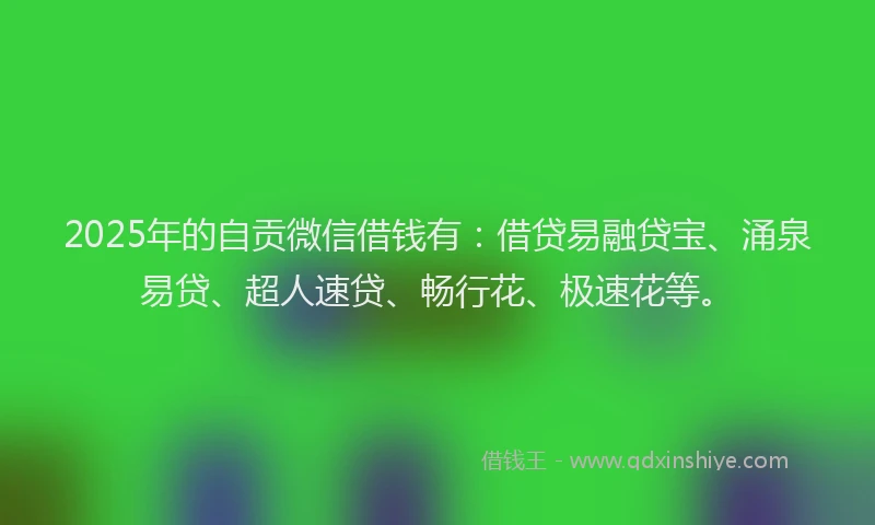 2025年的自贡微信借钱有:借贷易融贷宝、涌泉易贷、超人速贷、畅行花、极速花等。