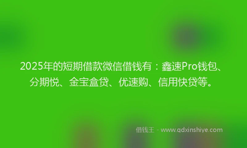 2025年的短期借款微信借钱有:鑫速Pro钱包、分期悦、金宝盒贷、优速购、信用快贷等。