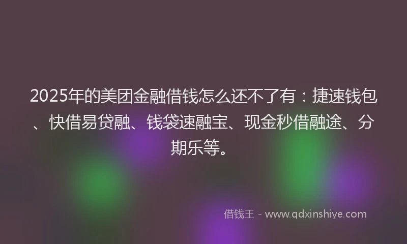 2025年的美团金融借钱怎么还不了有：捷速钱包、快借易贷融、钱袋速融宝、现金秒借融途、分期乐等。