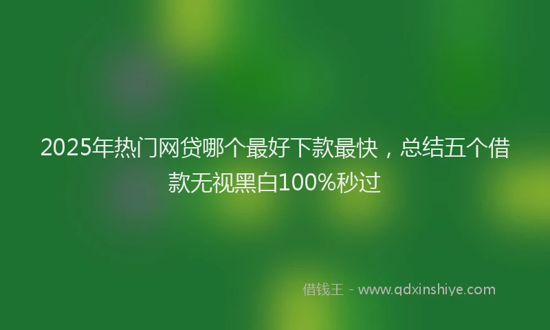 2025年热门网贷哪个最好下款最快，总结五个借款无视黑白100%秒过