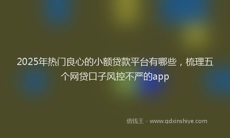 2025年热门良心的小额贷款平台有哪些，梳理五个网贷口子风控不严的app