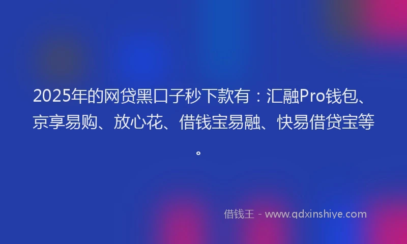 2025年的网贷黑口子秒下款有:汇融Pro钱包、京享易购、放心花、借钱宝易融、快易借贷宝等。