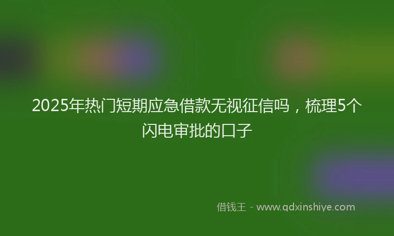 2025年热门短期应急借款无视征信吗，梳理5个闪电审批的口子